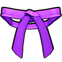 کمربند بنفش | Purple Belt